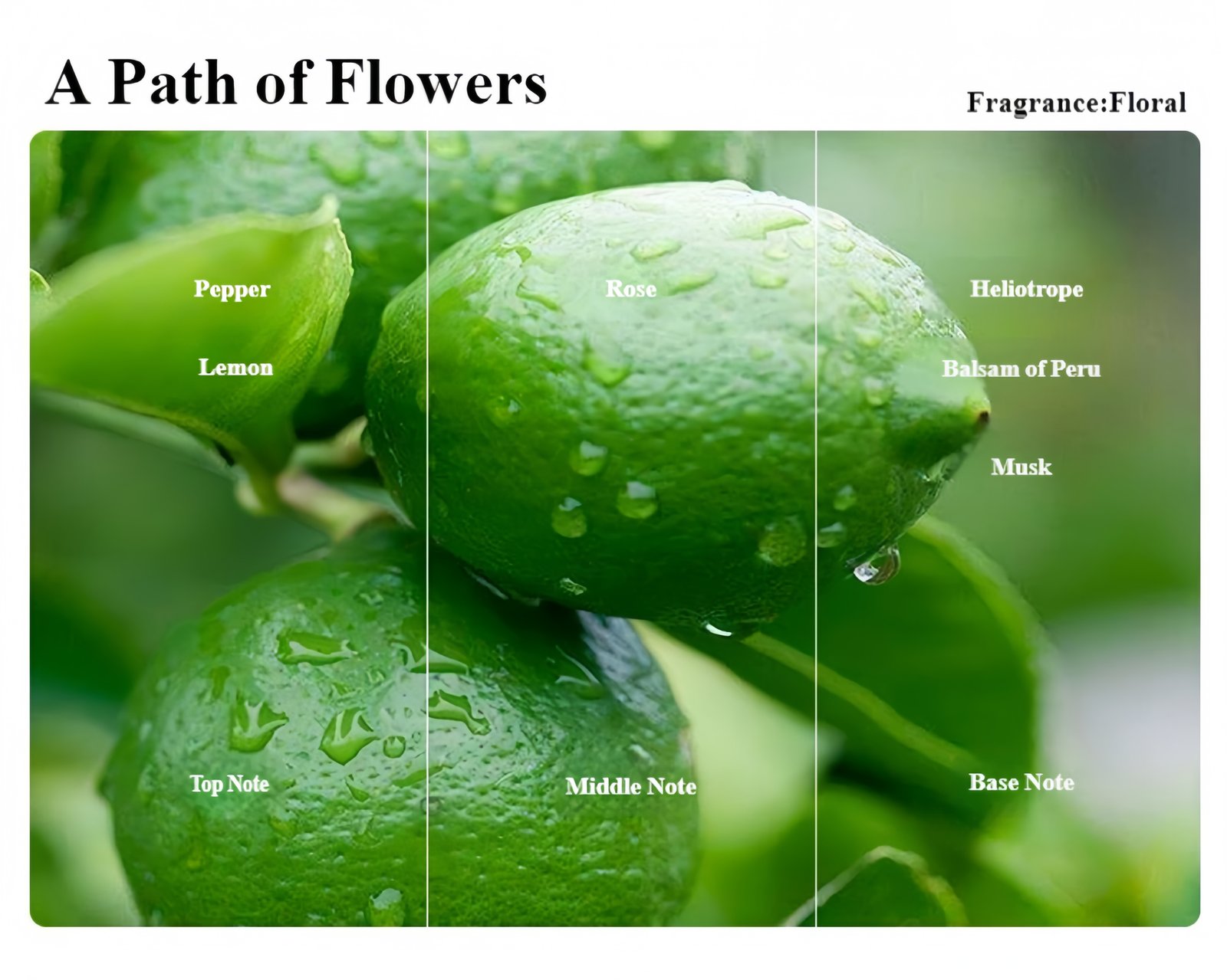 Essential Oil Scented Candle Optional fragrance types