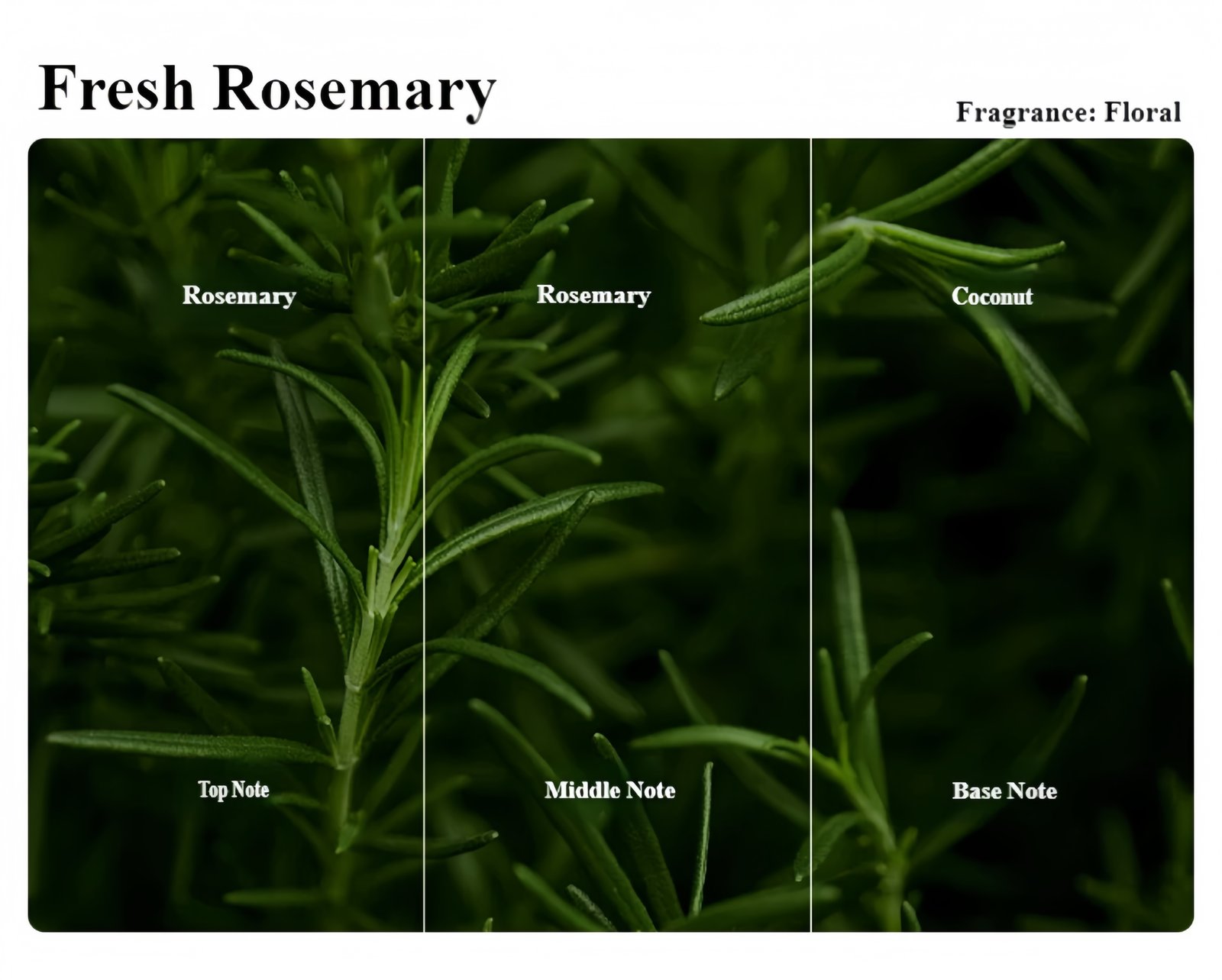 Essential Oil Scented Candle Optional fragrance types