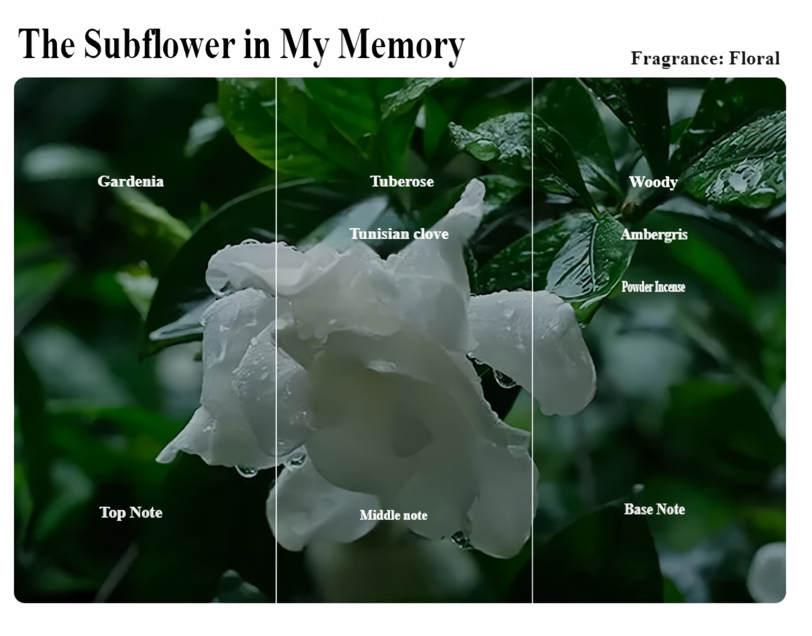 Essential Oil Scented Candle Optional fragrance types