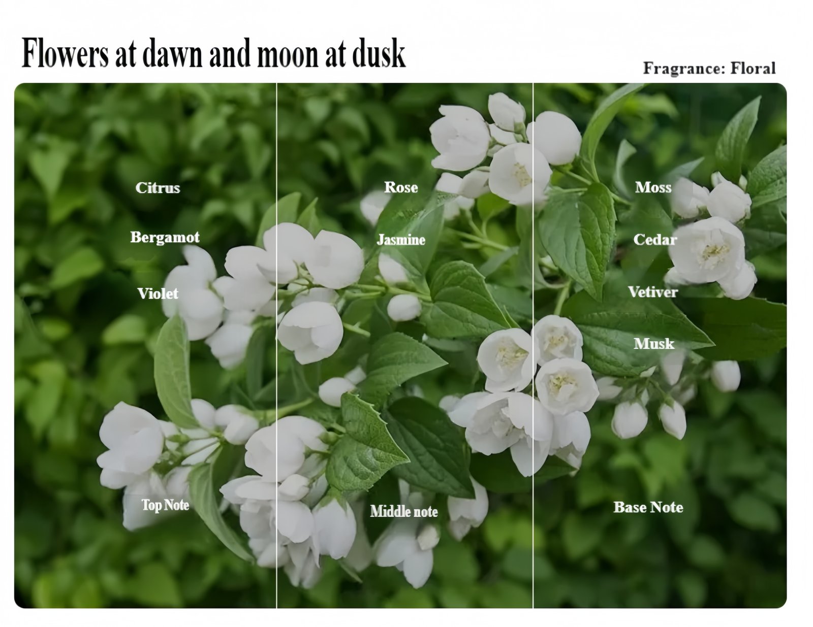 Essential Oil Scented Candle Optional fragrance types