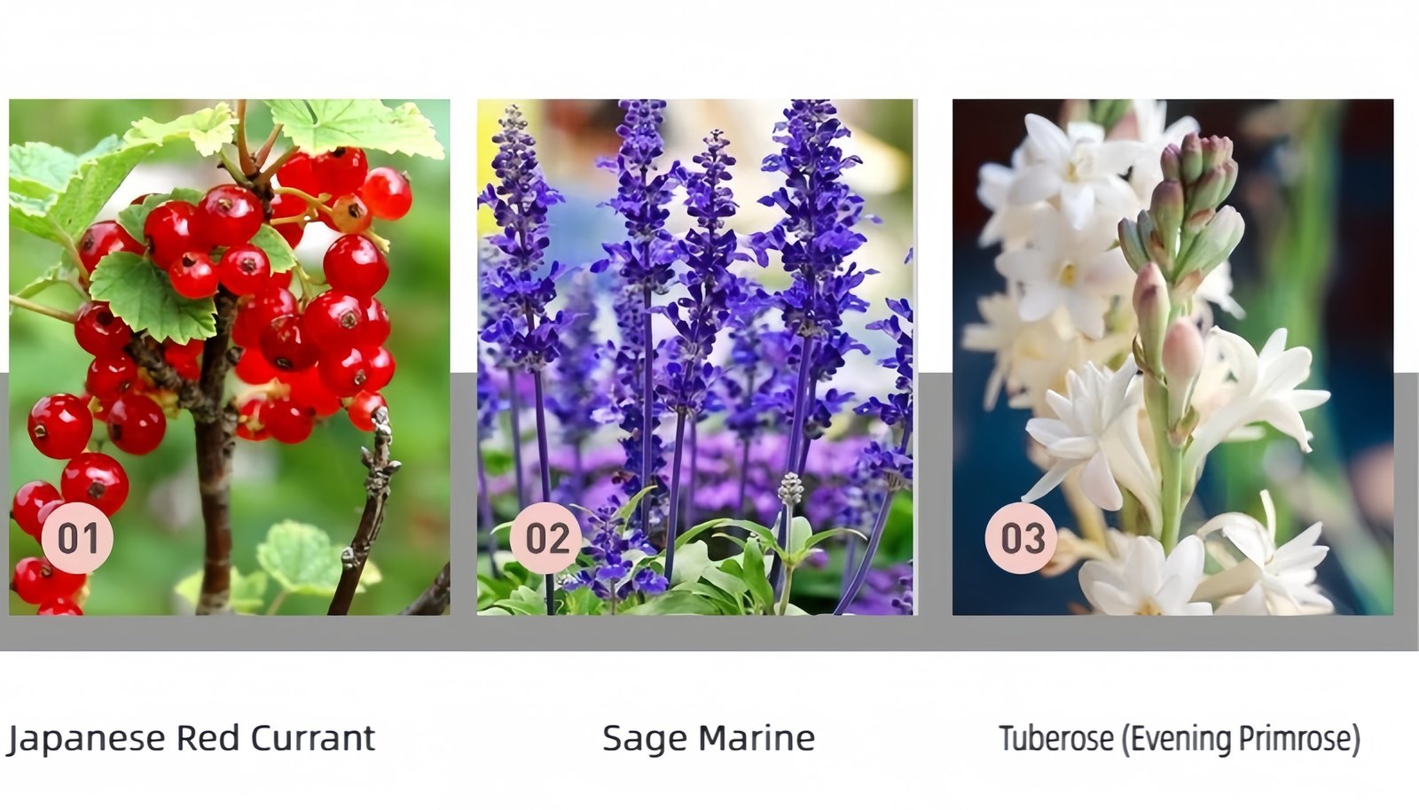 Fruity Floral Scented Candle | Handmade Fragrance Optional fragrance types