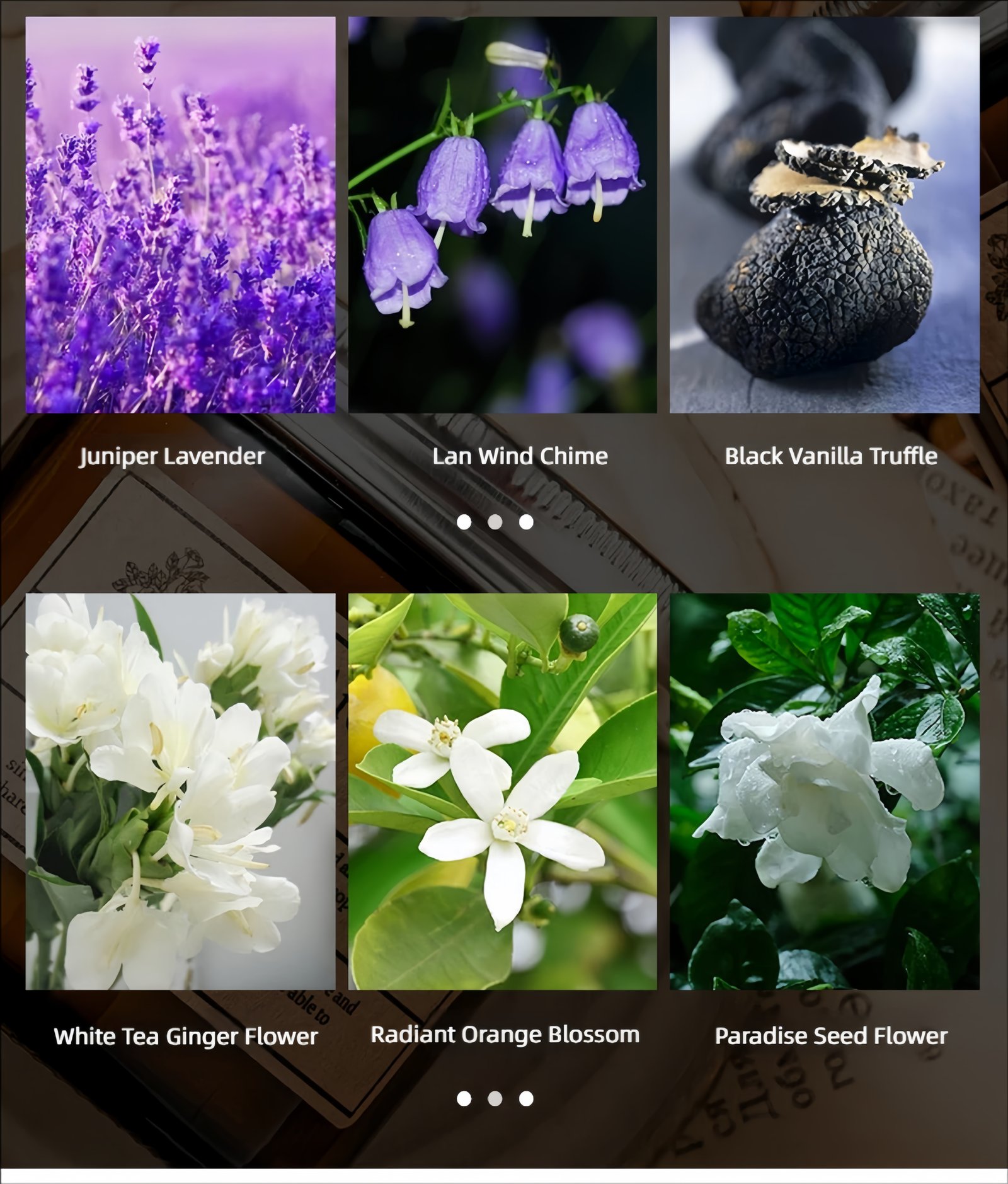 Pet-friendly scented candle Optional fragrance types