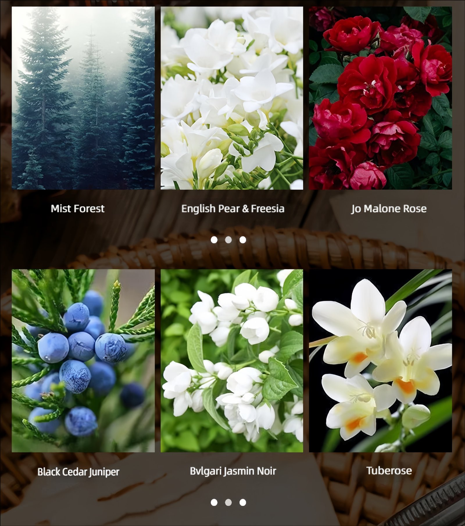 Pet-friendly scented candle Optional fragrance types