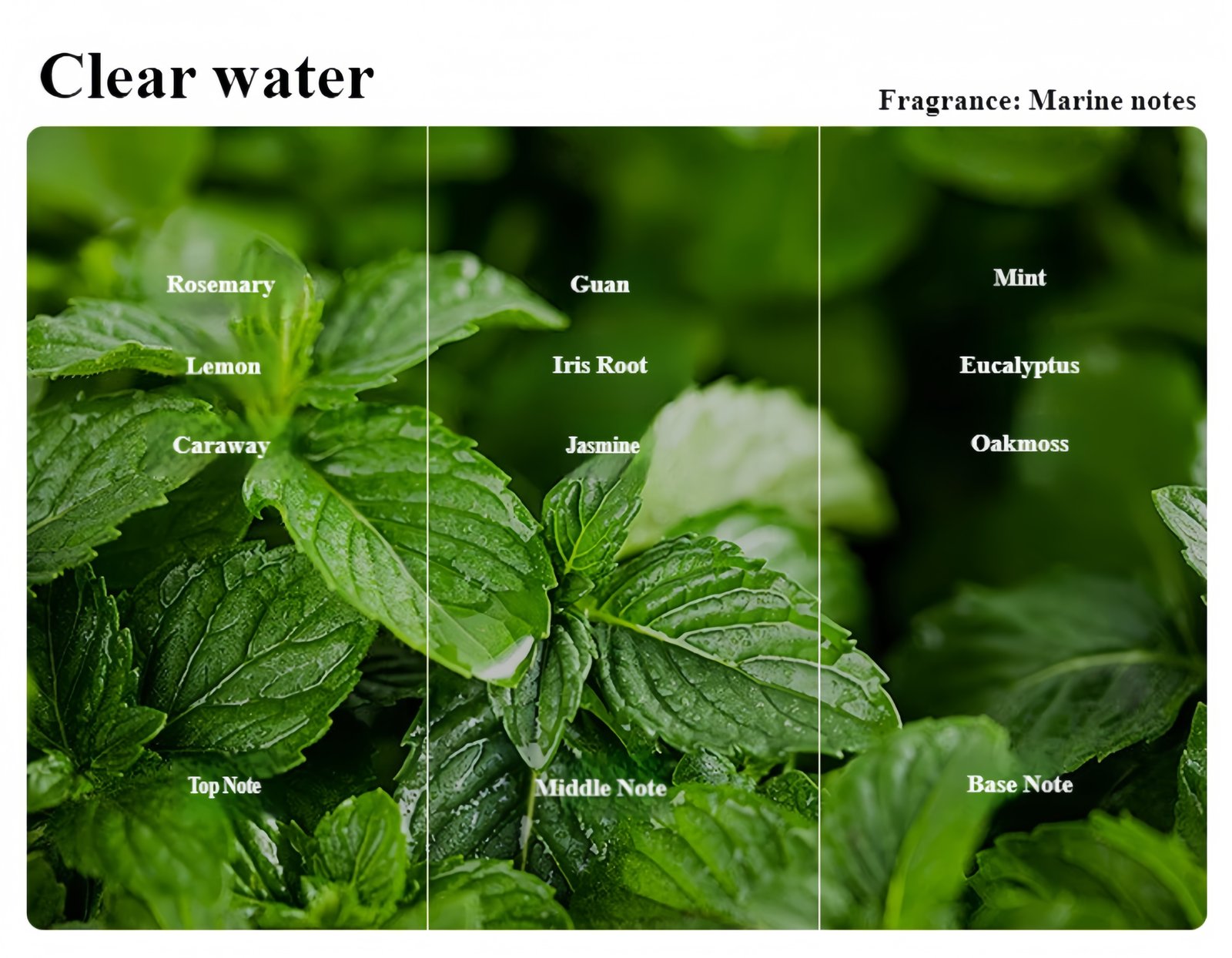 Premium Scented Candle | Silent Confession Gift Box Optional fragrance types