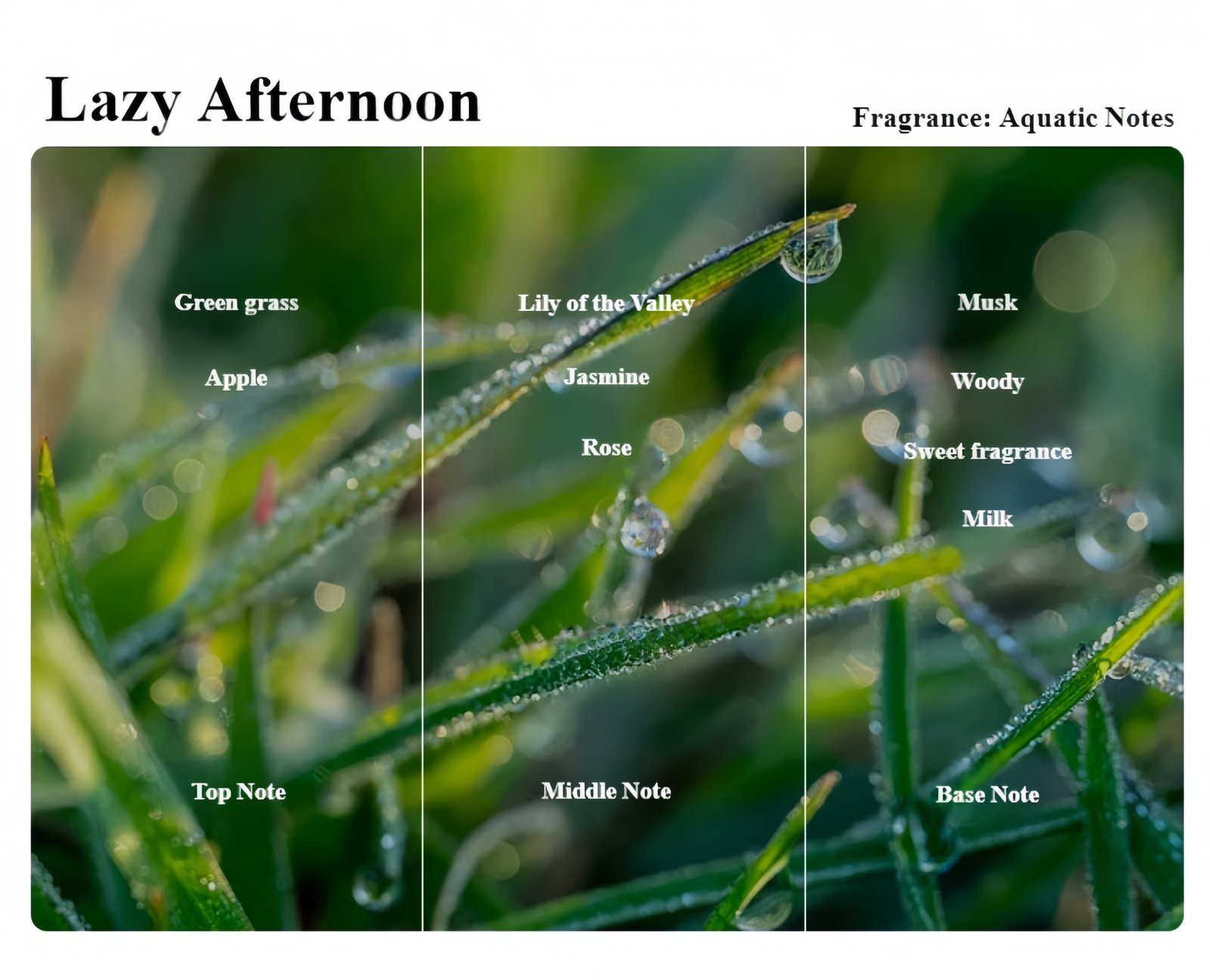 Premium Scented Candle | Silent Confession Gift Box Optional fragrance types