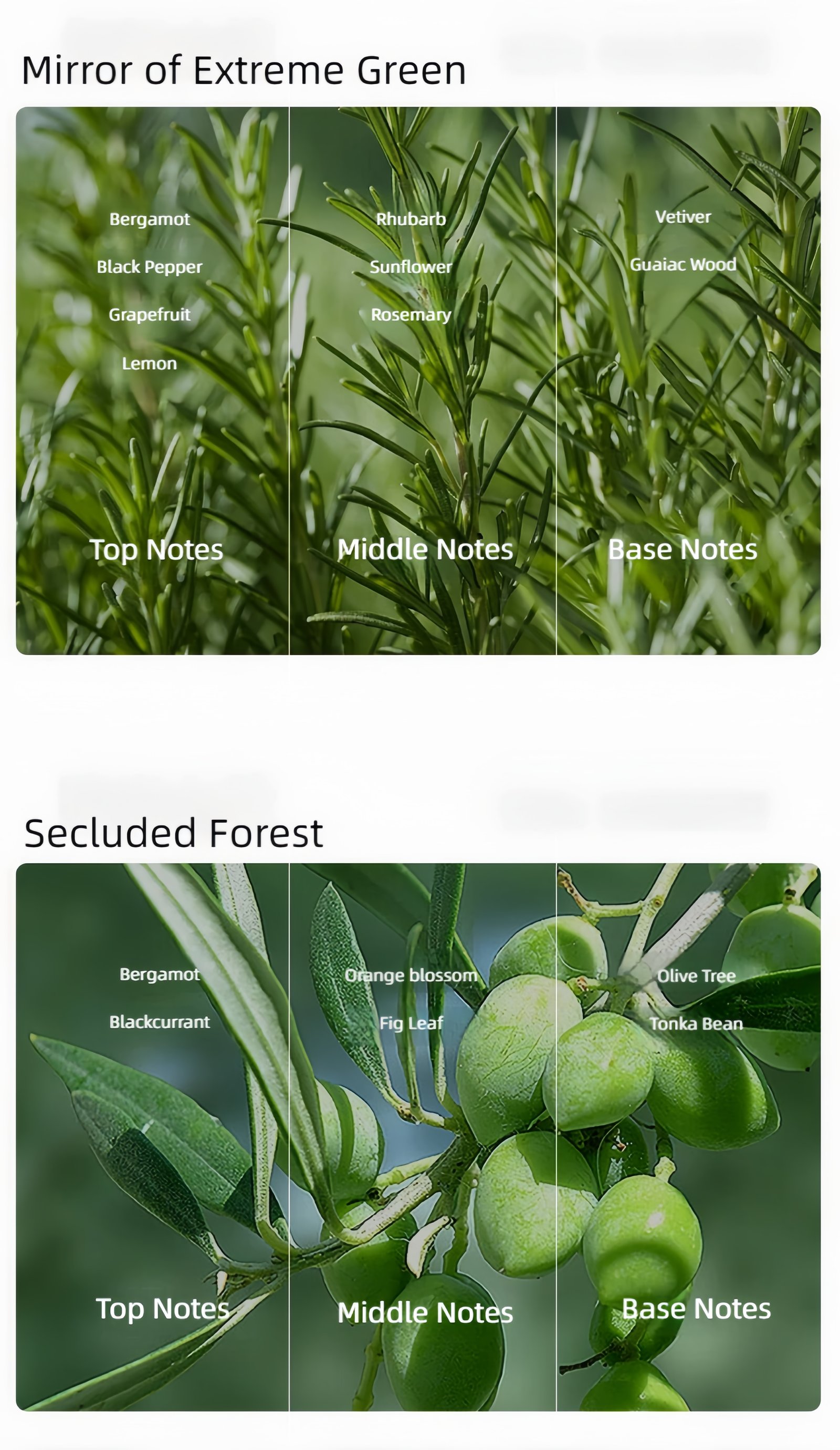 Study room energizing scented candle Optional fragrance types