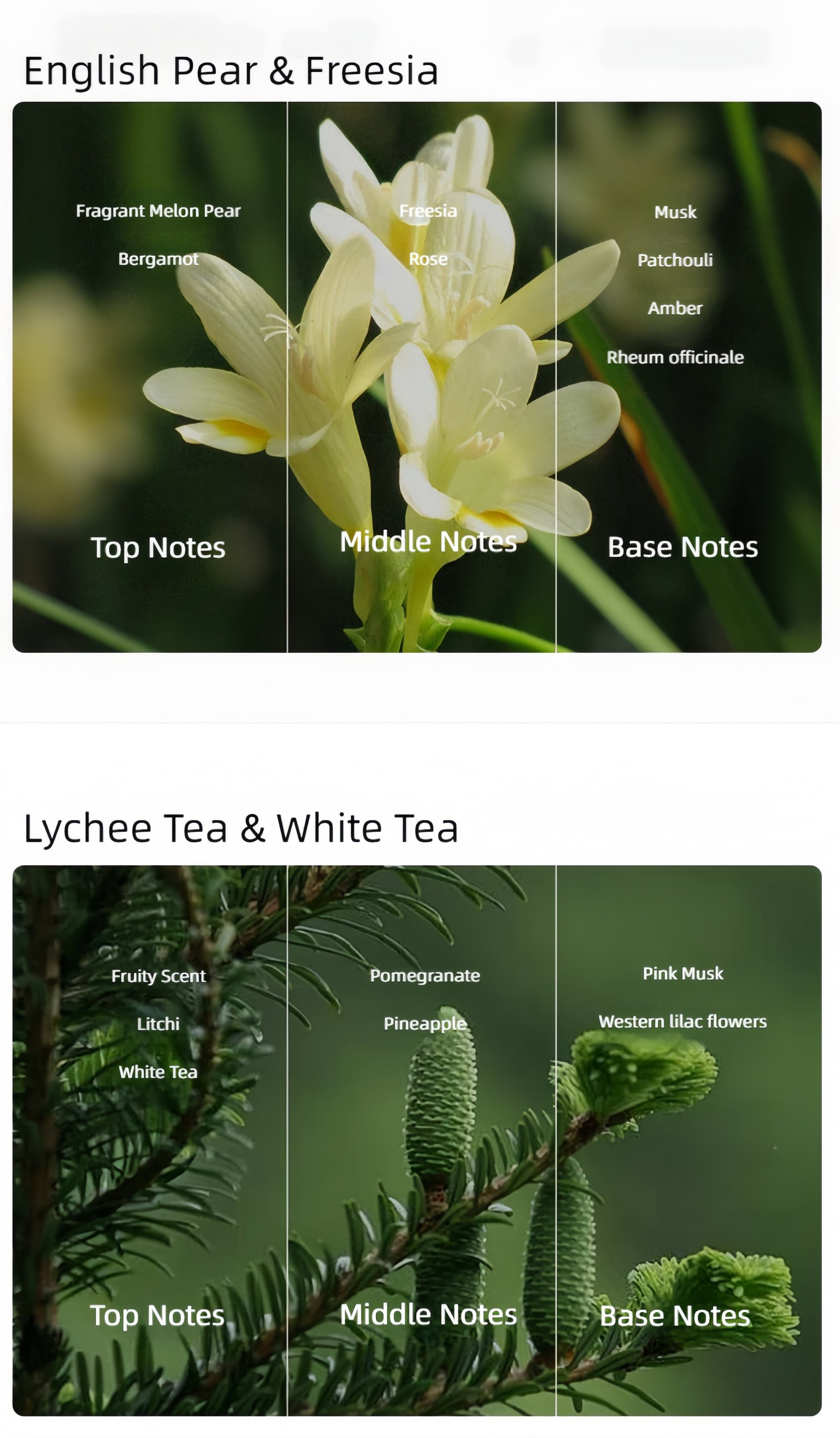 Study room energizing scented candle Optional fragrance types