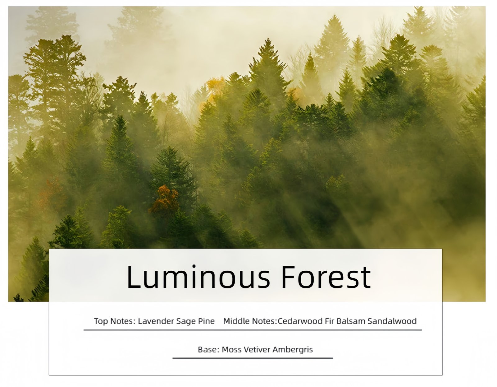 Woody Scented Candle Optional fragrance types