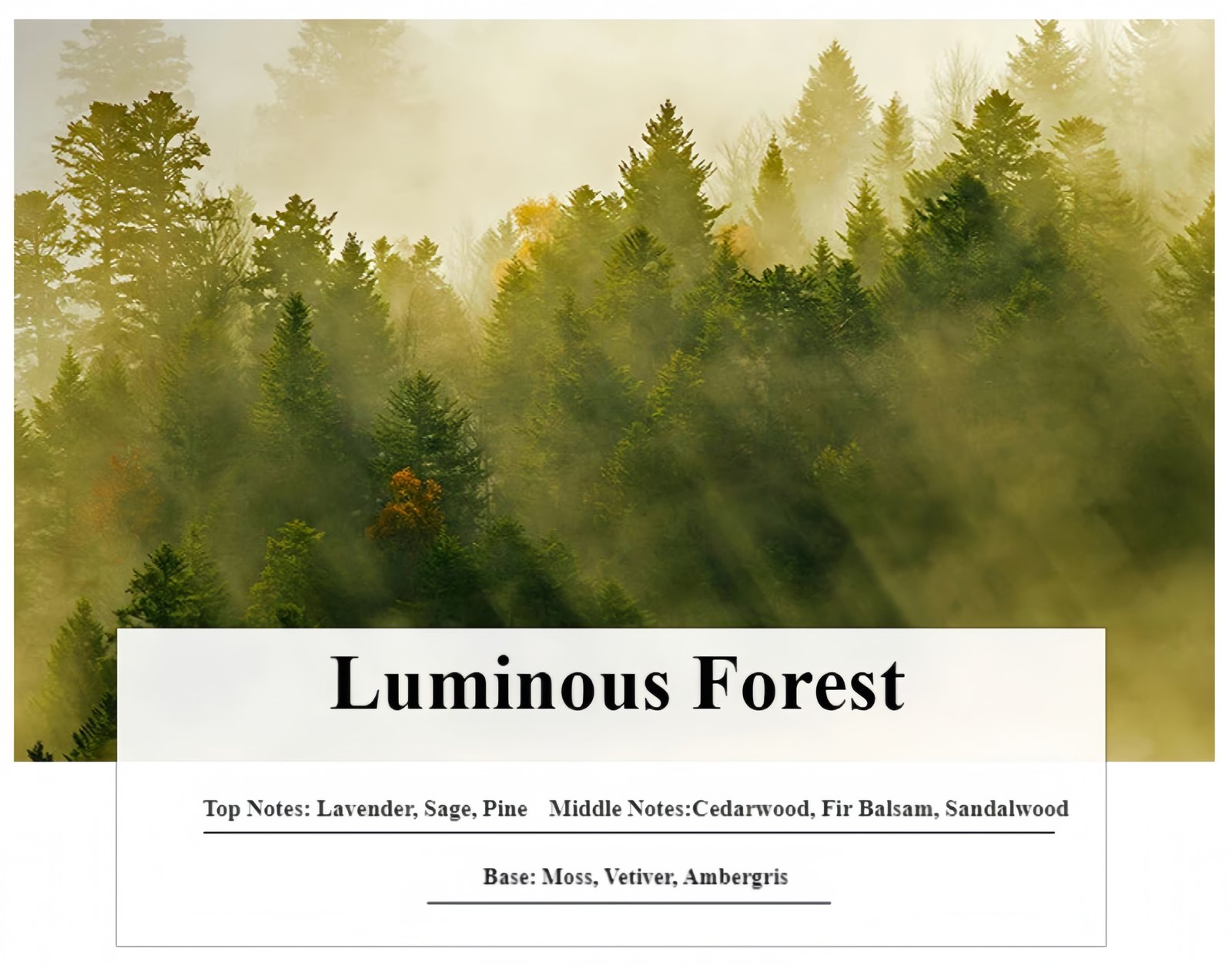 Woody Scented Candle Optional fragrance types