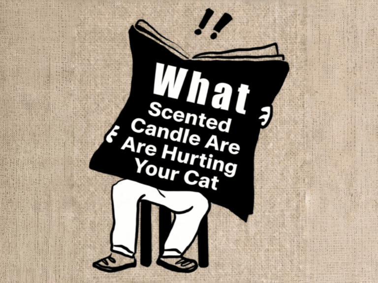 Are scented candles harmful to pets