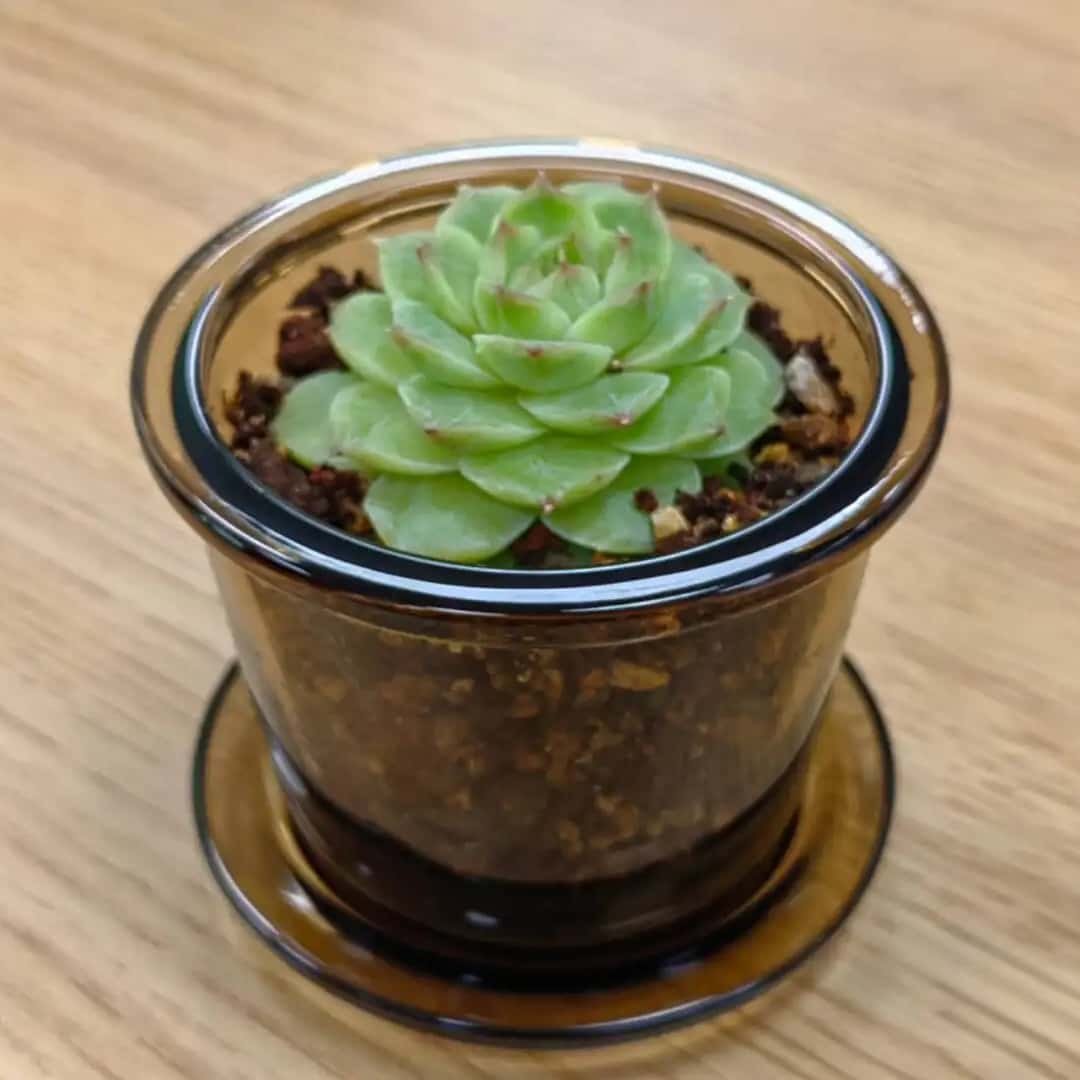 Creative reuse of empty candle jars