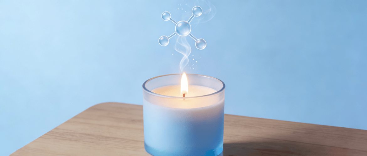 How Scented Candle Fragrance Notes Work-Base Notes